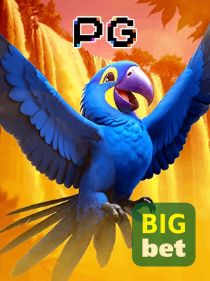 BIGWIN bônus — cashback 15 por cento e níveis VIP