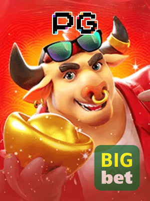 BIGWIN cadastro — tela de formulário no app oficial