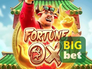 BIGWIN login — painel de entrada no app oficial