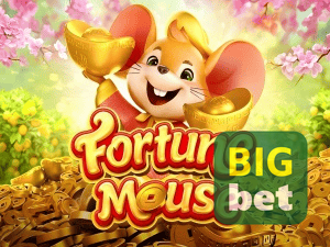 BIGWIN login — configurações de segurança e proteção de conta